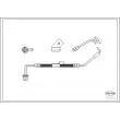 CORTECO 19032130 - Flexible de frein avant droit