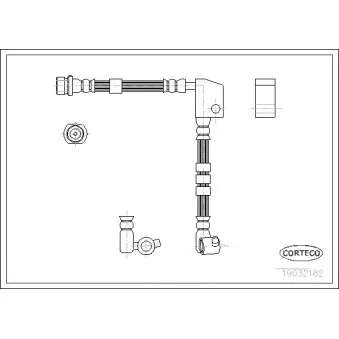 CORTECO 19032182 - Flexible de frein avant droit