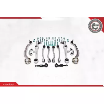 Kit de réparation, bras triangulaire ESEN SKV OEM 8D0498998S1