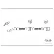 CORTECO 19032350 - Flexible de frein avant droit