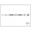 CORTECO 19032493 - Flexible de frein