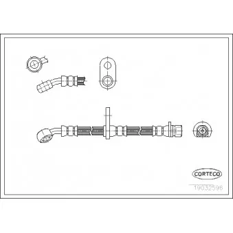 CORTECO 19032596 - Flexible de frein arrière droit