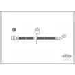 CORTECO 19032675 - Flexible de frein arrière droit