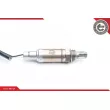 ESEN SKV 09SKV540 - Sonde lambda