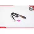 ESEN SKV 09SKV905 - Sonde lambda