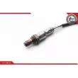 ESEN SKV 09SKV991 - Sonde lambda