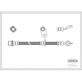 CORTECO 19033043 - Flexible de frein avant droit