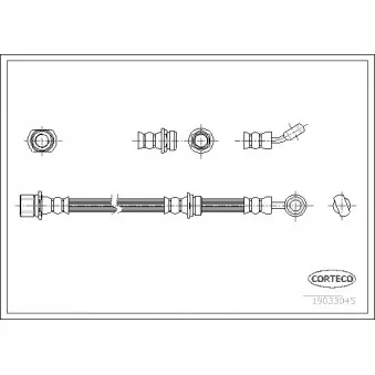 CORTECO 19033045 - Flexible de frein arrière droit