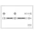CORTECO 19033090 - Flexible de frein avant droit