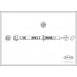 CORTECO 19033559 - Flexible de frein arrière droit