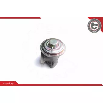 Vanne EGR ESEN SKV OEM 1S7Q9D475AE