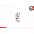 ESEN SKV 14SKV125 - Radiateur, réaspiration des gaz d'échappement