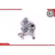 ESEN SKV 14SKV135 - Module-EGR