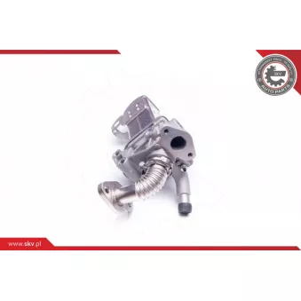 Module-EGR ESEN SKV OEM 147355X00B