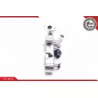 ESEN SKV 14SKV135 - Module-EGR