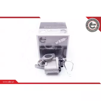 Vanne EGR ESEN SKV OEM 1811167JG3