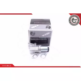 Vanne EGR ESEN SKV OEM 138499