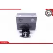 ESEN SKV 16SKV290 - Serrure de hayon
