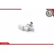 ESEN SKV 17SKV278 - Capteur d'angle, vilebrequin