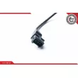 ESEN SKV 17SKV286 - Capteur d'angle, vilebrequin