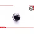 ESEN SKV 17SKV584 - Capteur, pression de carburant
