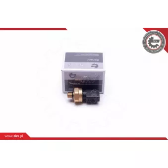 Capteur, pression de carburant ESEN SKV 17SKV622 pour AUDI A3 2.0 TFSI - 200cv