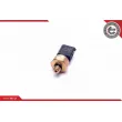 ESEN SKV 17SKV622 - Capteur, pression de carburant