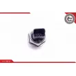 ESEN SKV 17SKV626 - Capteur, pression de carburant