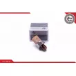 ESEN SKV 17SKV627 - Capteur, pression de carburant