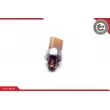 ESEN SKV 17SKV627 - Capteur, pression de carburant