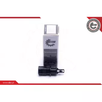 Capteur, température de l'air d'admission ESEN SKV 17SKV681 pour CHRYSLER 300 6.1 SRT8 - 431cv