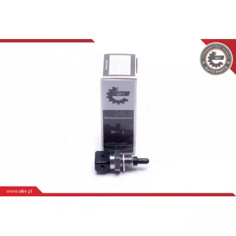 Capteur, température de l'air d'admission ESEN SKV 17SKV686 pour LANCIA KAPPA 220 SDi - 105cv
