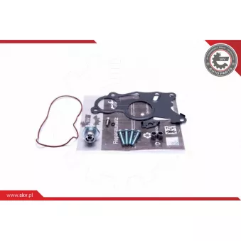 Kit de réparation, pompe à vide (freinage) Dr.Motor DRM0325