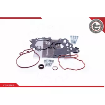 Kit de réparation, pompe à vide (freinage) Dr.Motor DRM0252