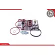 ESEN SKV 18SKV805 - Kit de réparation, pompe à vide (freinage)