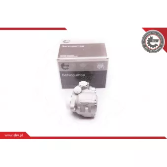 Pompe hydraulique, direction ESEN SKV 1SKV0006 pour MERCEDES-BENZ NG 1429 AF - 290cv
