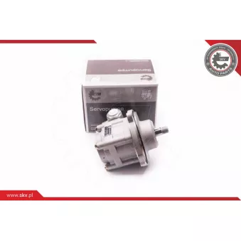 Pompe hydraulique, direction ESEN SKV 1SKV0007 pour VOLVO FH16 II FH 16/750 - 750cv