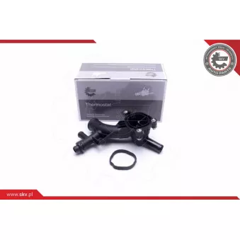 Bride de liquide de refroidissement ESEN SKV OEM 1338030