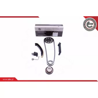 Kit de distribution par chaîne ESEN SKV OEM A1600500211