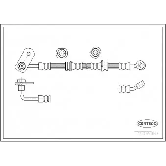 Flexible de frein CORTECO OEM 5155067D00