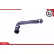 ESEN SKV 24SKV246 - Durite de radiateur
