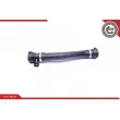 ESEN SKV 24SKV255 - Durite de radiateur