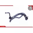 ESEN SKV 24SKV258 - Durite de radiateur