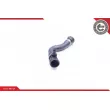 ESEN SKV 24SKV279 - Durite de radiateur