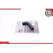 ESEN SKV 24SKV364 - Durite de radiateur