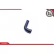 ESEN SKV 24SKV364 - Durite de radiateur