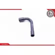 ESEN SKV 24SKV391 - Durite de radiateur