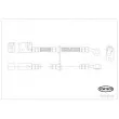CORTECO 19036842 - Flexible de frein