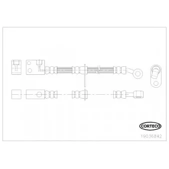 Flexible de frein CORTECO OEM 01465SMTE00