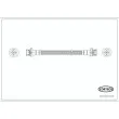 CORTECO 19036996 - Flexible de frein
